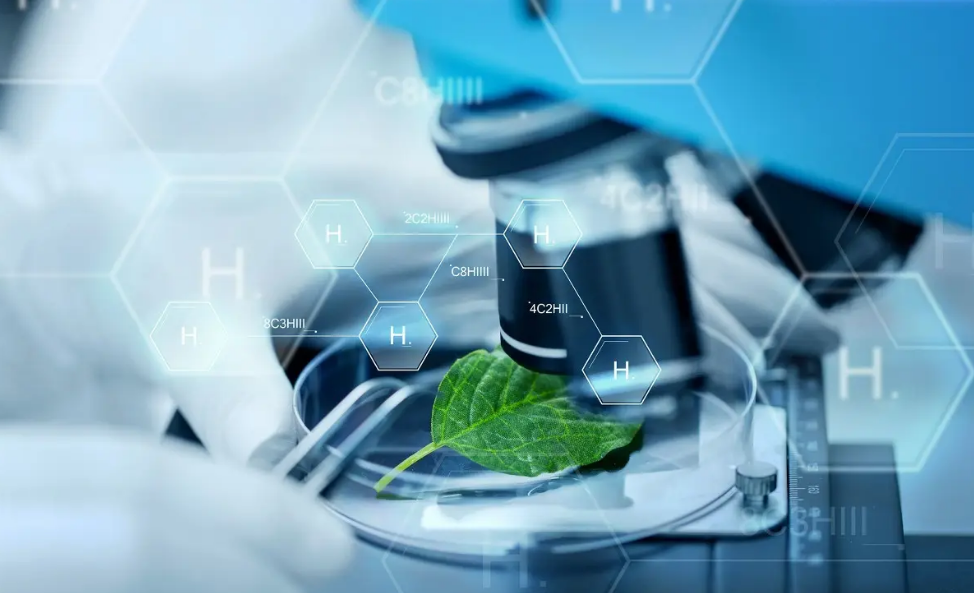 合肥医学翻译，医学英文翻译所需要注意的技巧